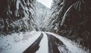 Картинка: Зимняя дорога в лесу