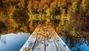 Картинка: Мостик на берегу речки усыпанный жёлтыми листьями.