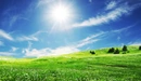 Картинка: Яркое солнце в небе над полем