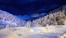 Картинка: Снежный ночной пейзаж с видом на горы и ели.