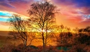 Картинка: Красивый закат осенью в лесу