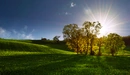 Картинка: Лучистое солнышко выглядывает из-за деревьев