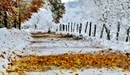 Image: First snow