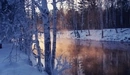 Картинка: Деревья в снегу у озера.