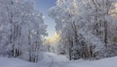 Картинка: зимняя дорога