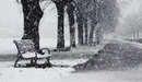 Картинка: Снегопад в парке.