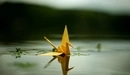 Картинка: Журавлик из бумаги плывёт по воде.