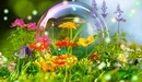 Картинка: Цветочки внутри мыльного пузыря.