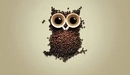 Image: Owl with coffee beans.