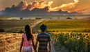 Картинка: Влюблённая пара идёт через поле по дороге в сторону далёкого горизонта