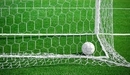 Image: The ball in the goal.