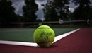Картинка: Теннисный мяч лежит на разметке.