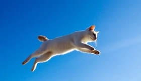 Картинка: Кошка, прыжок, небо, высота