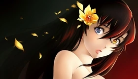 Картинка: Девушка, лицо, волосы, взгляд, глаза, разные, цвет, цветок, лепестки