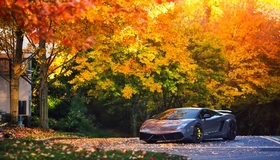 Картинка: Ламборджини Галлардо, Lamborghini Gallardo, серебристый, осень, листва, дорога