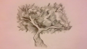 Картинка: Дерево, ствол, ветки, крона