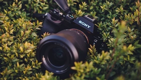 Картинка: Sony, A7, фотоаппарат, камера, объектив, листики, трава