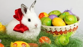 Картинка: Пасха, разукрашенные яйца, белый кролик, бант, ленточки