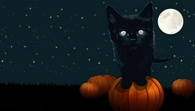 Картинка: halloween, хэллоуин, кот, ночь, луна, тыква