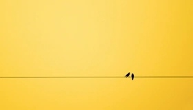 Картинка: Линия, провод, птицы, пара, жёлтый фон