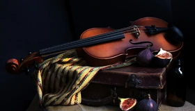 Картинка: Скрипка, струны, инструмент, чемодан, инжир