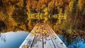 Картинка: Осень, речка, река, вода, отражение, мостик, листья, деревья
