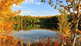 Картинка: Осень, листья, деревья, вода, отражение