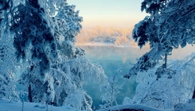 Картинка: зима, снег, деревья