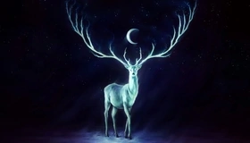 Картинка: Сияние, животное, олень, рога, луна, небо, звёзды, ночь