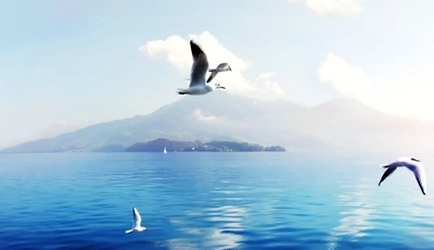 Image: Seagulls, island, fly, sea, water, sky, clouds