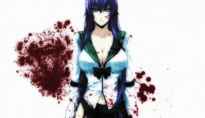 Image: Anime, girl, Saeko Busujima, Highschool of the dead, hair, shape, breasts, blood, spots, background