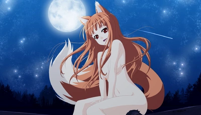 Image: The she-wolf, tail, ears, girl, hair, moon, sky, stars