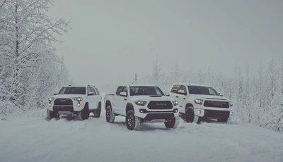 Image: 2017, Toyota, 4Runner, Tacoma, Tundra, TRD Pro, пикап, внедорожник, белый, снег, стоят, версии