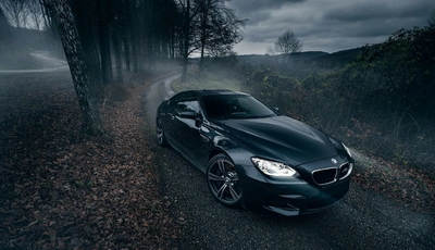 Картинка: BMW, m6, черный, свет, дорога, листва, деревья