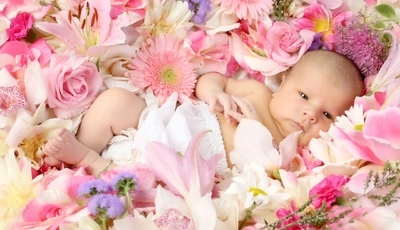 Image: Малыш, ребёнок, глаза, взгляд, лежит, цветы, роза, гербера