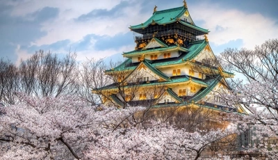 Image: Osaka, Japan, castle, roof, Sakura, bloom, trees, sky, clouds