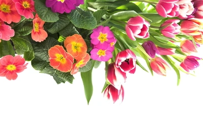 Image: Цветы, букет, листья, тюльпаны