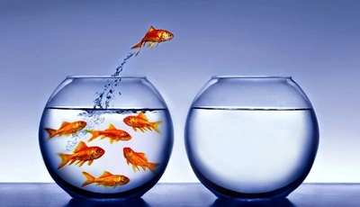 Image: Рыбки, аквариум, вода, капли, прыжок