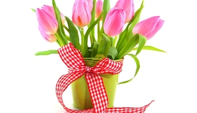 Image: Тюльпаны, цветы, букет, лента, ведро, праздник, весна, 8 марта, белый фон