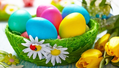 Image: Пасха, яйца, цветные, крашеные, корзинка, трава, ромашки, тюльпаны, цветы, божья коровка