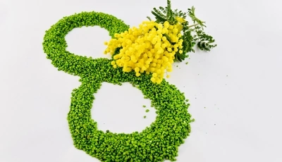 Image: Праздник, восьмёрка, 8 марта, мимоза, цветы, жёлтый, веточка, белый фон