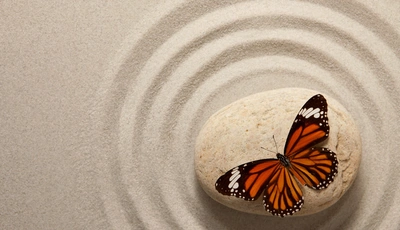 Image: Бабочка, крылья, окрас, камень, песок