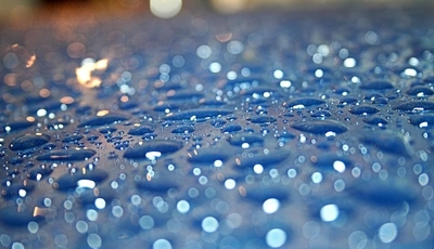 Image: Drops, blue, rain, glare