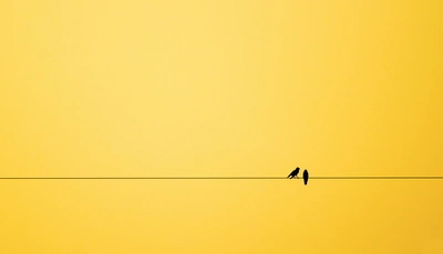 Картинка: Линия, провод, птицы, пара, жёлтый фон