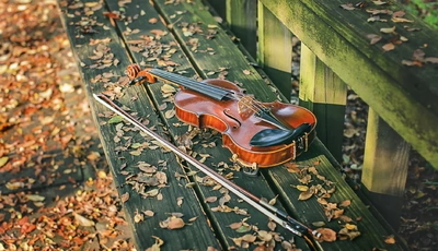 Картинка: Скрипка, смычок, лежит, листья, осень, скамейка