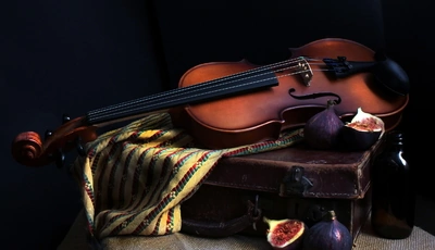 Image: Скрипка, струны, инструмент, чемодан, инжир