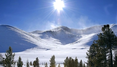 Image: Горы, деревья, хвоя, снег, солнце, светило, лучи, день, зима, небо