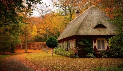 Картинка: осень, домик, листья