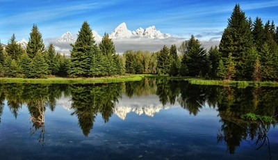 Картинка: Лес, озеро, вода, отражение, небо, горы, ель