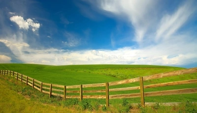 Image: природа, трава, небо